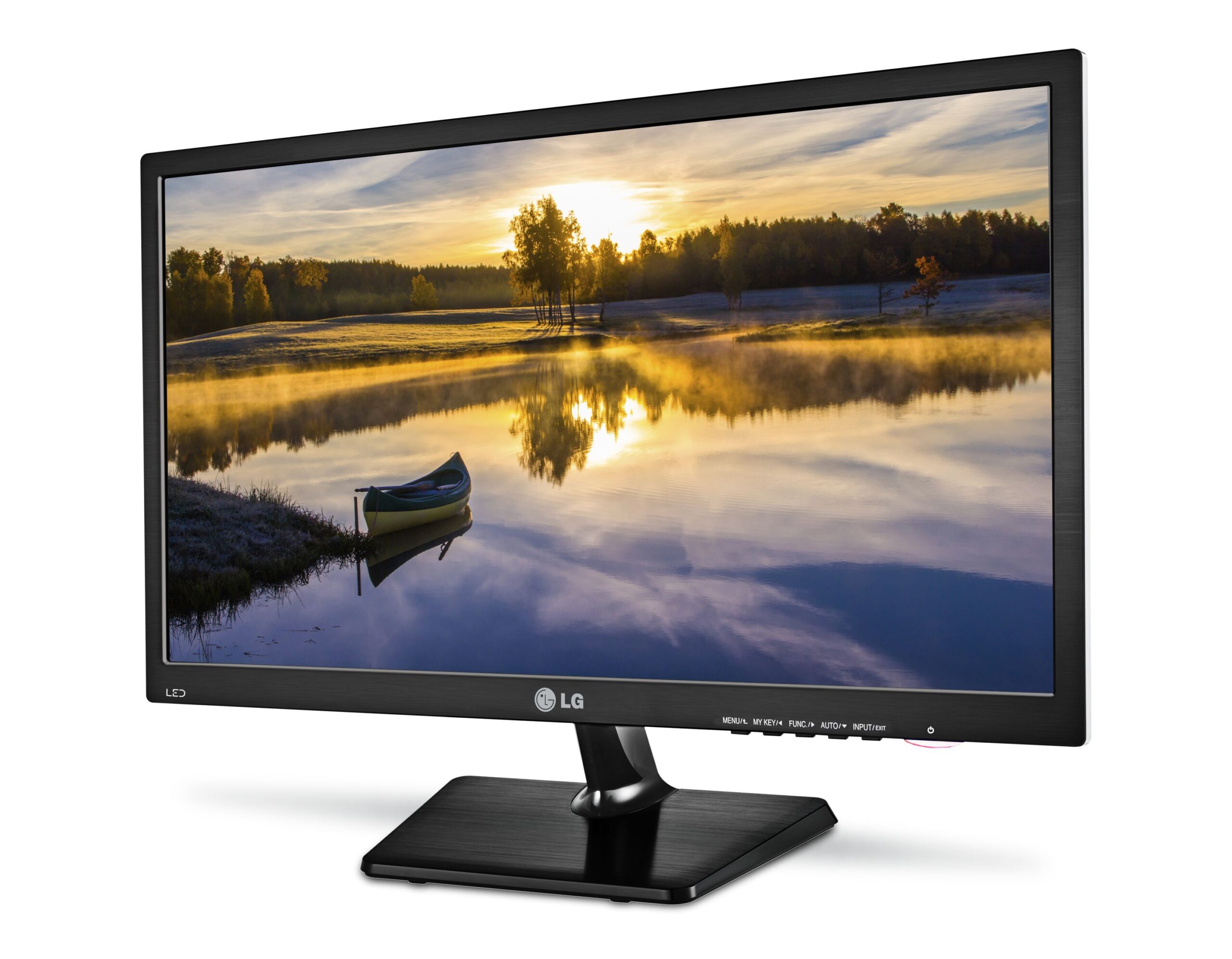 LG 19M37D-B – 19 polegadas – VGA / DVI - vista 1