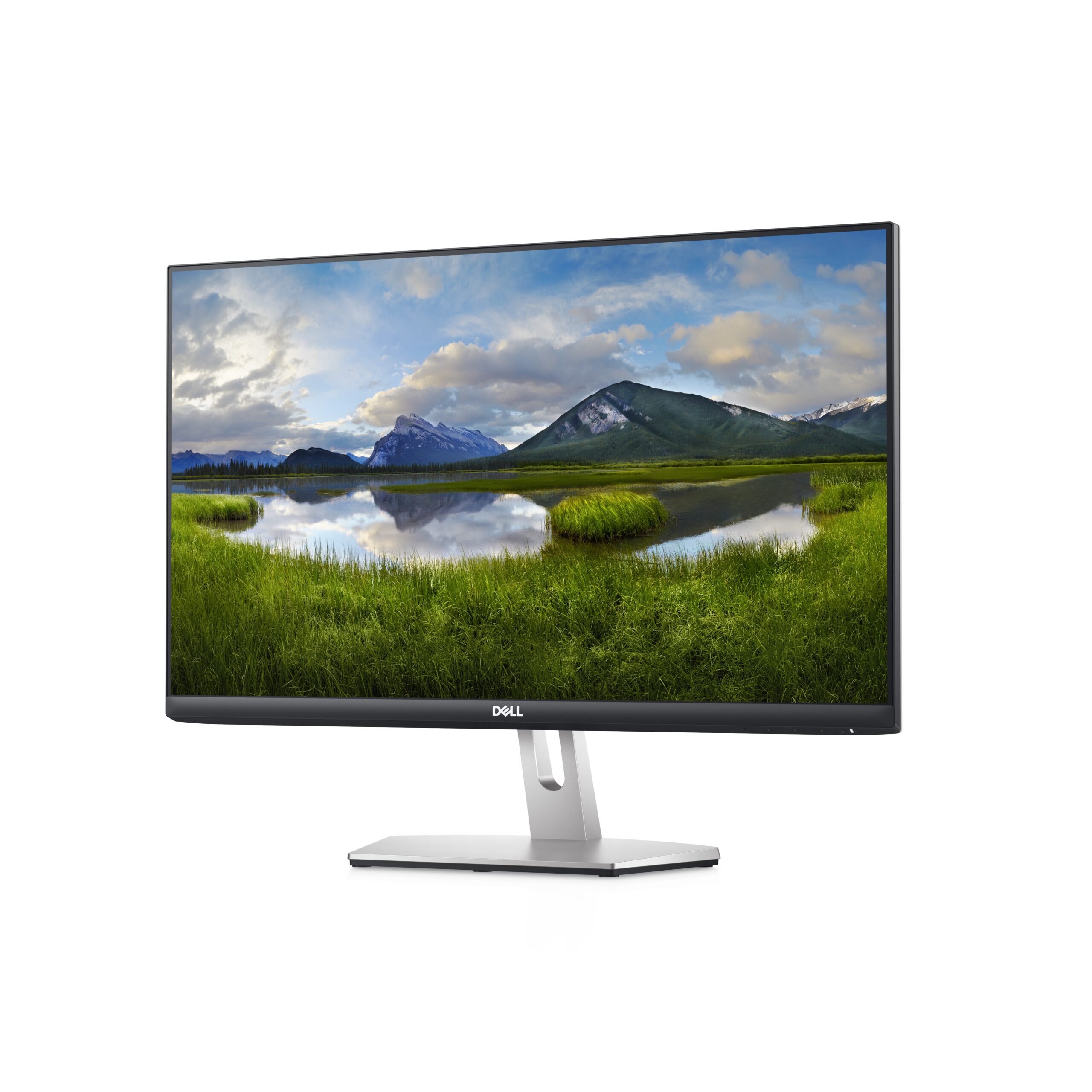 Dell S2421HN – 24 polegadas – 2 HDMI / saída de áudio - vista 2