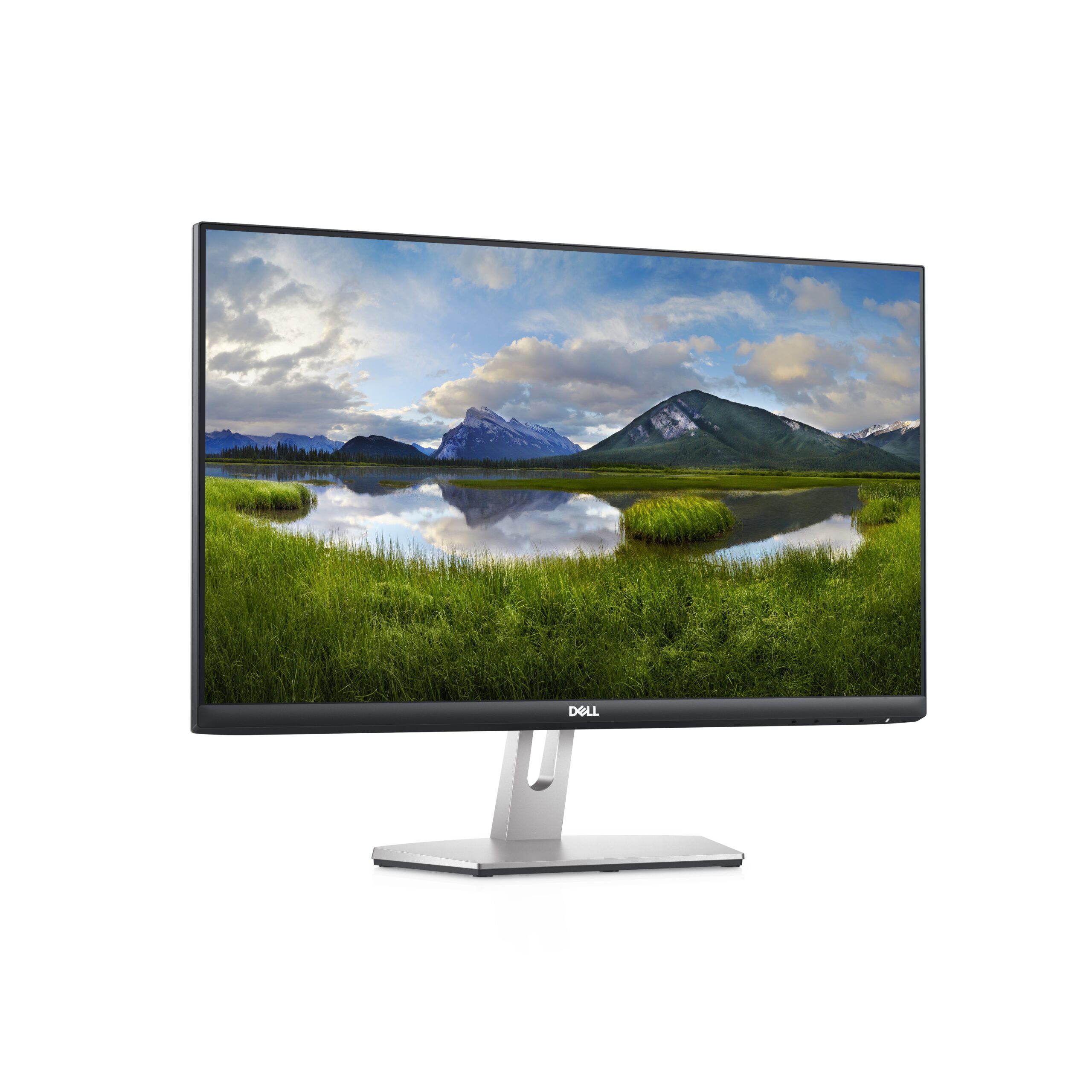 Dell S2421HN – 24 polegadas – 2 HDMI / saída de áudio - vista 3