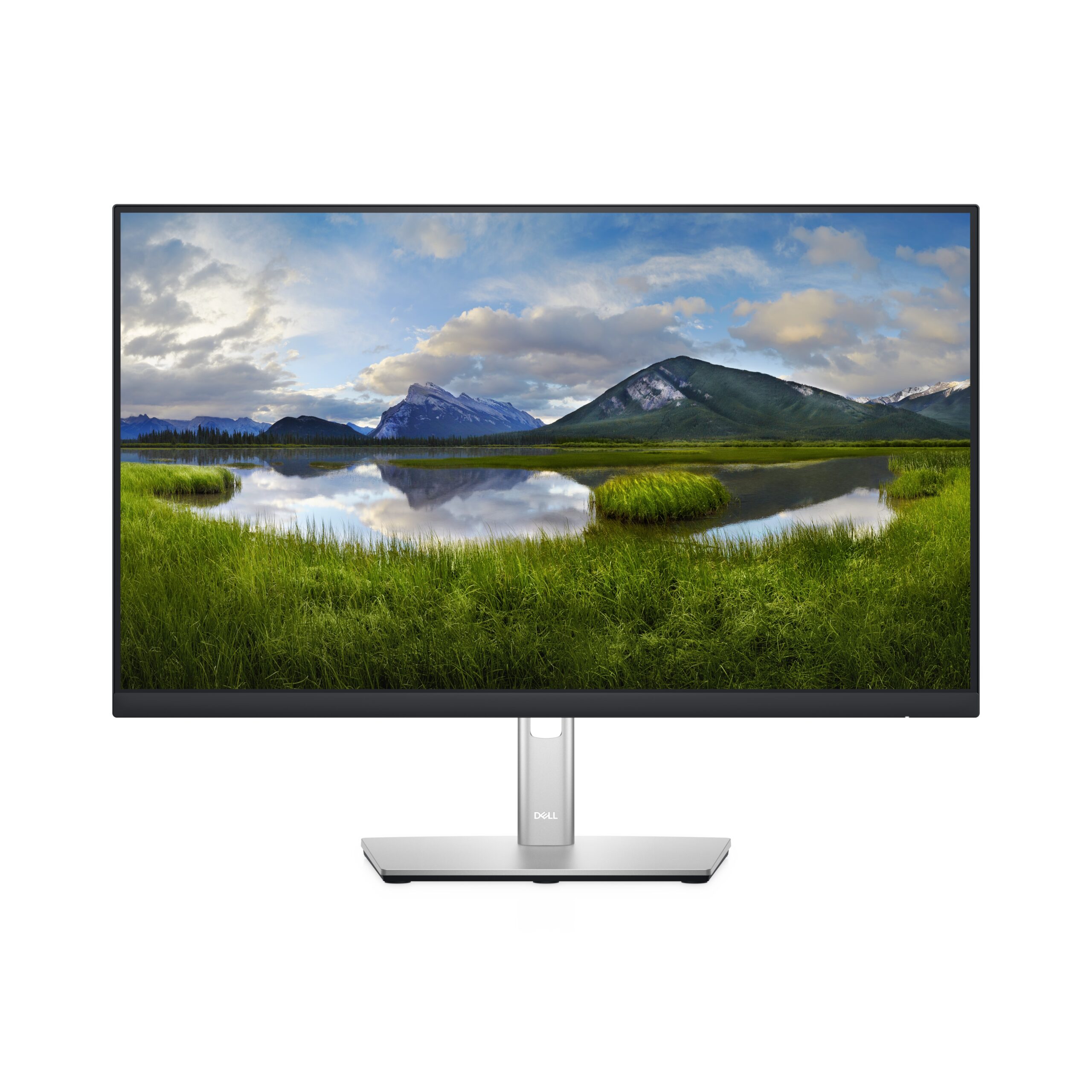 Dell P2422H – 24 polegadas – VGA / HDMI / DisplayPort / 4 USB / USB-B - vista 1