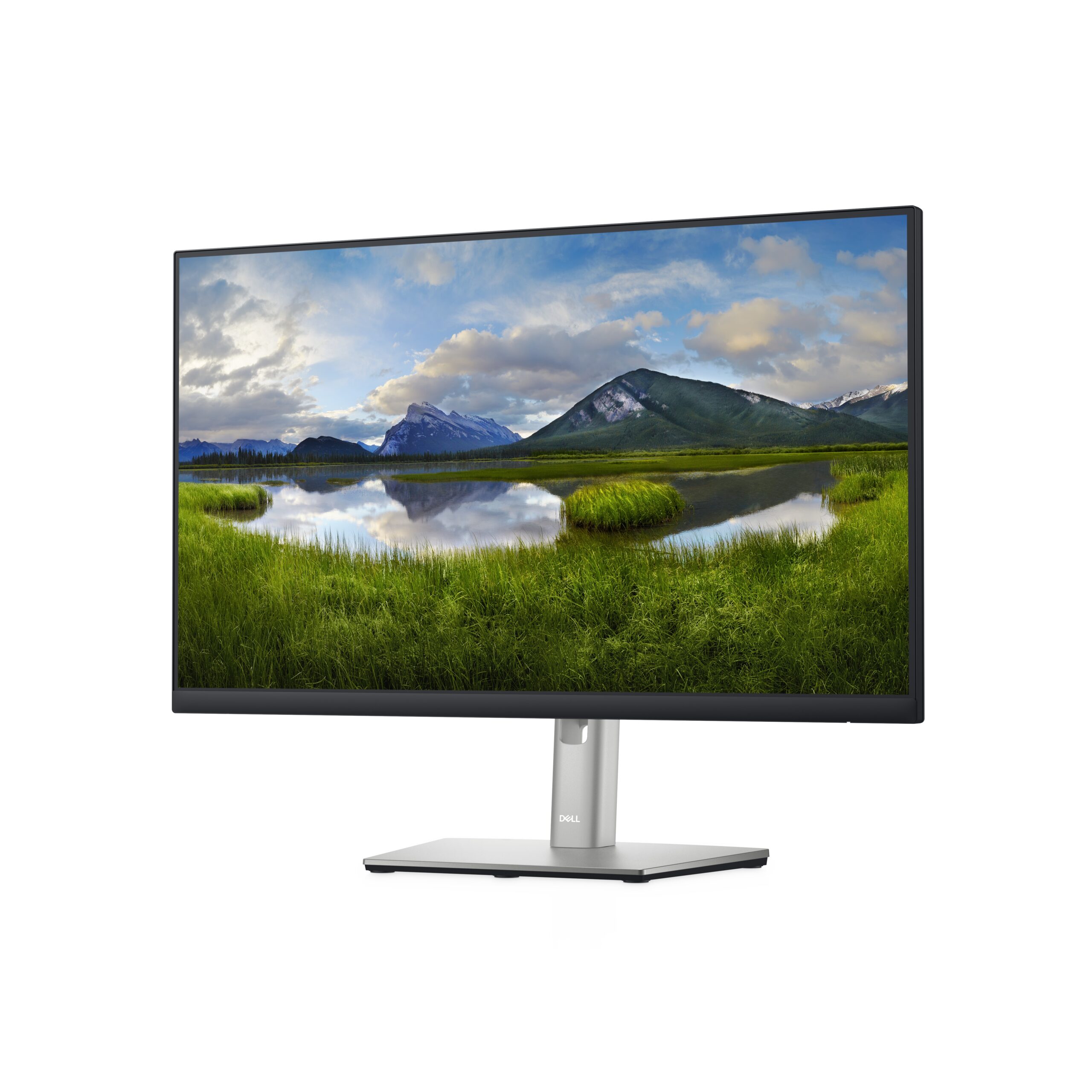 Dell P2422H – 24 polegadas – VGA / HDMI / DisplayPort / 4 USB / USB-B - vista 2